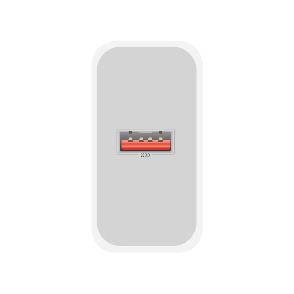 5.webp