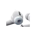 18.webp