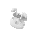 26.webp