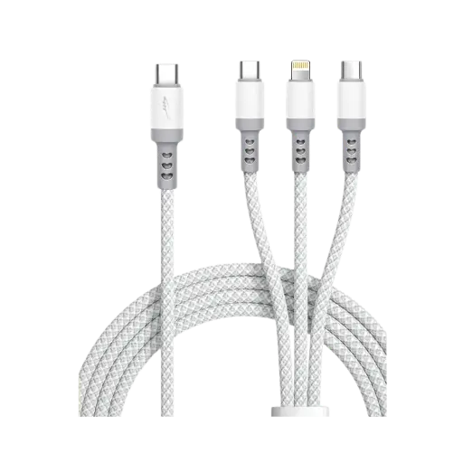 Multi Cable Type C 
